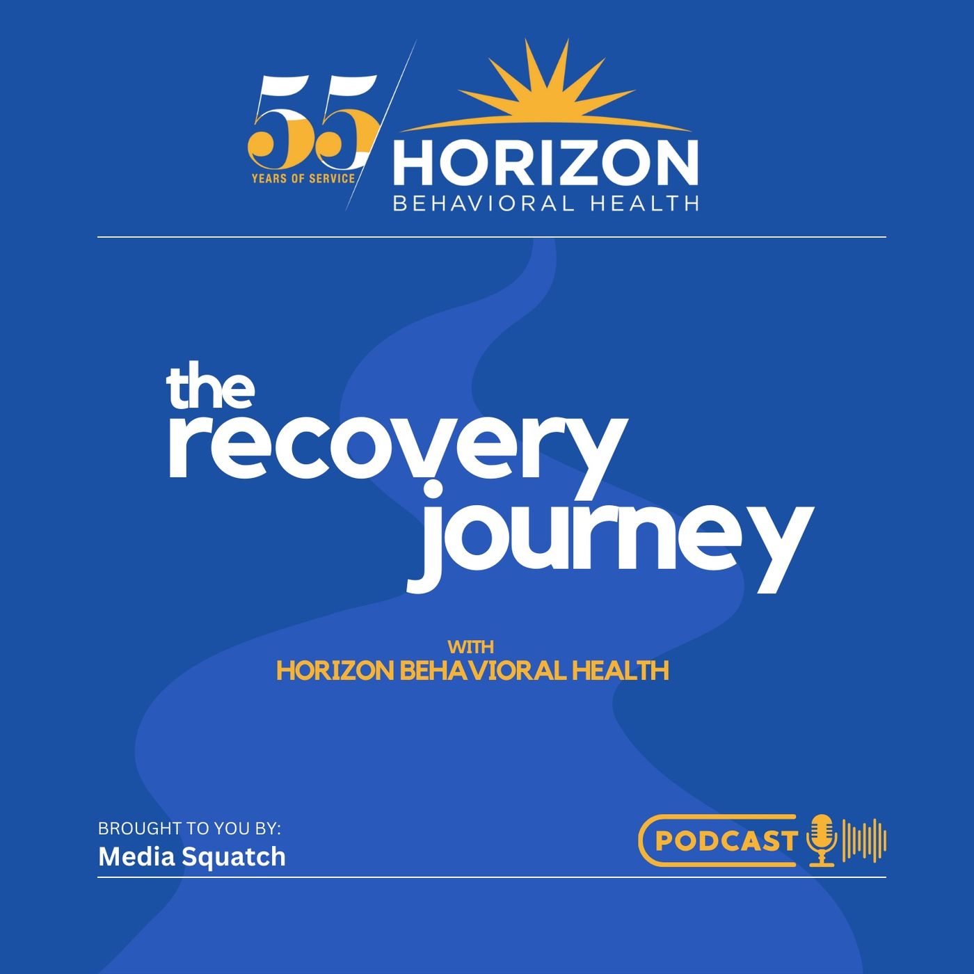 The Recovery Journey cover